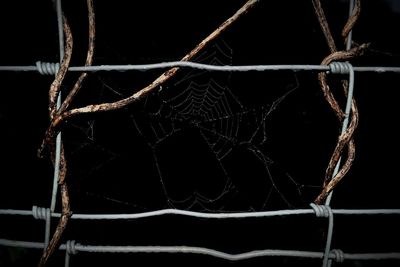 Close-up of spider web on metal fence