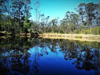 Reflection of trees in lake against clear sky