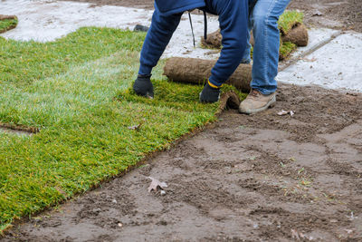 Low section of man installing turf outdoors
