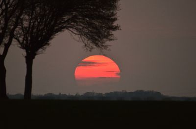 Silhouette trees on field against sky during sunset