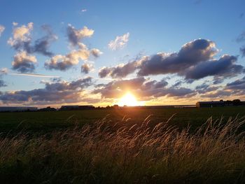 Scenic view of field against sky during sunset