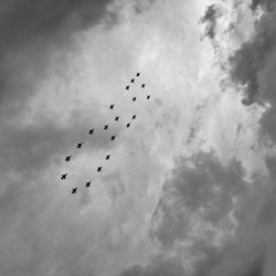 Low angle view of birds flying in sky