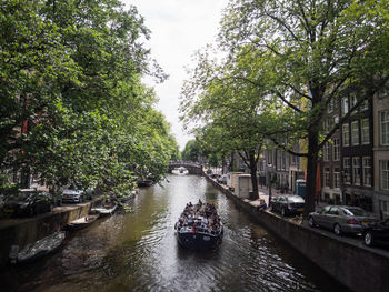 Canal amidst trees in city