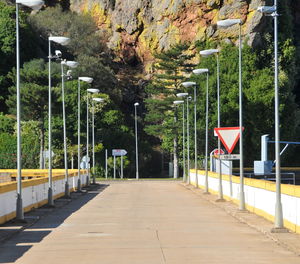 Empty road along trees