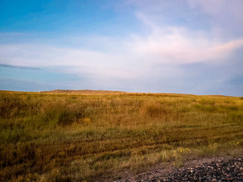 Scenic view of field against sky