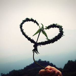 Close-up of cropped hand