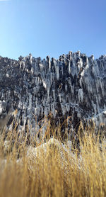 Close-up of snow against clear sky