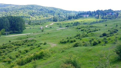 Scenic view of landscape