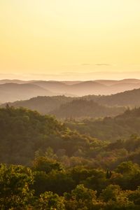 Scenic view of landscape against sky during sunset
