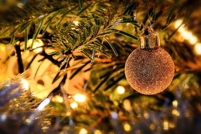 Close-up of christmas tree