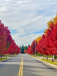 Road amidst trees against sky