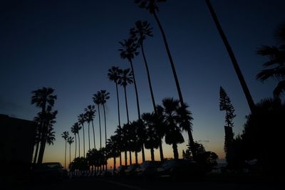 Silhouette palm trees against sky at night