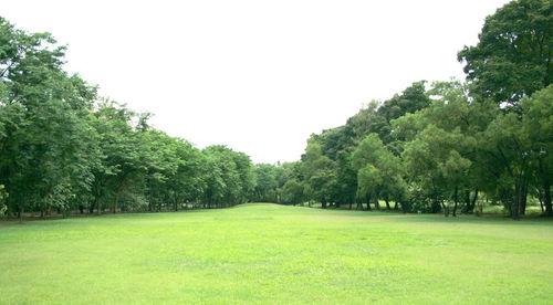 Scenic view of trees on field against clear sky
