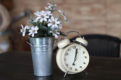 Close-up of white flowers on table