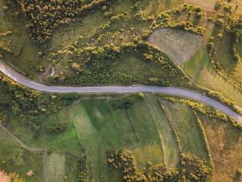 High angle view of road amidst trees