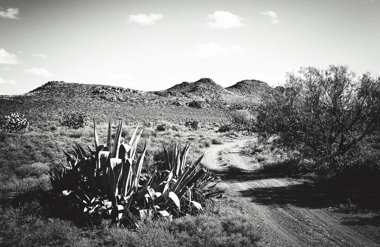 VIEW OF LANDSCAPE AGAINST MOUNTAINS