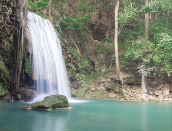 View of waterfall in forest