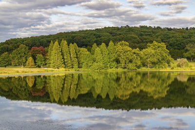 Scenic view of lake by trees against sky