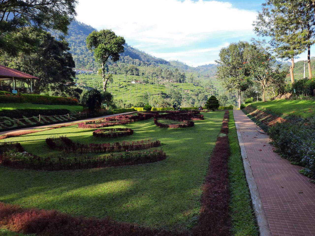 SCENIC VIEW OF GARDEN