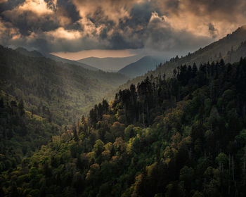 Scenic view of trees and mountains against sky