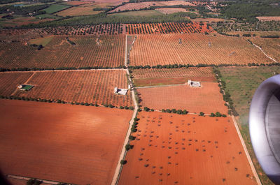 High angle view of agricultural field