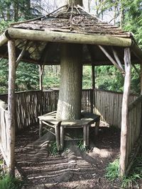 Chairs and table against trees