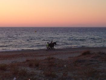 Scenic view of beach at dusk