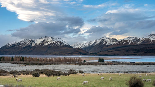 Scenic view of new zealand southern alps and lake pukaki with blue sky and clouds. 