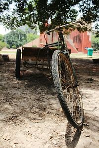 Close-up of bicycle parked against trees