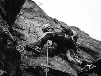 Low angle view of trees against sky