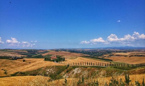 Scenic view of agricultural field against sky