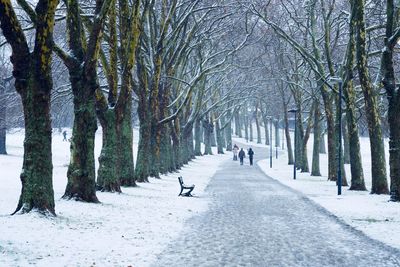 Rear view of people walking on snow covered road amidst trees during winter