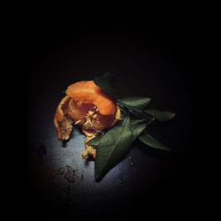 High angle view of orange leaf on table against black background