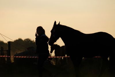 Silhouette people with horse against sky during sunset