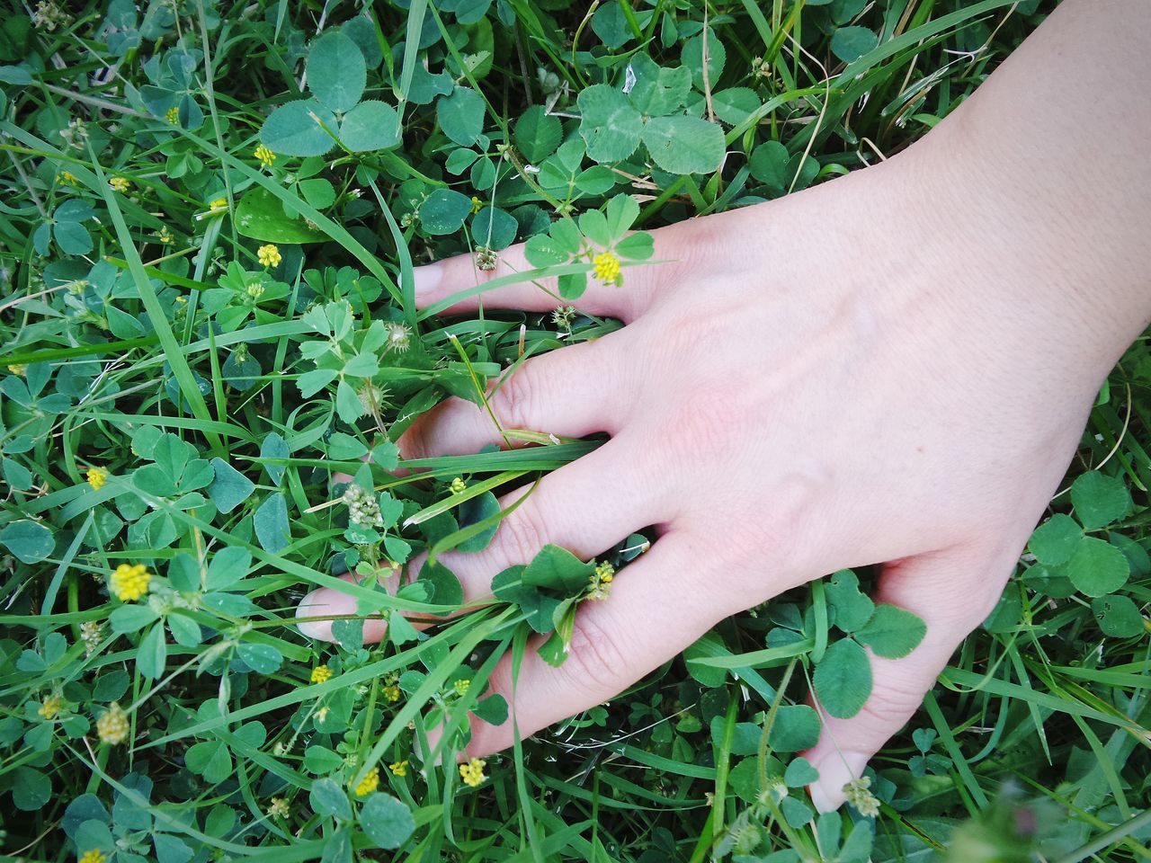 Hand in grass