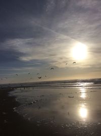 Silhouette birds flying over sea against sky during sunset