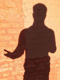 Shadow of man on wall