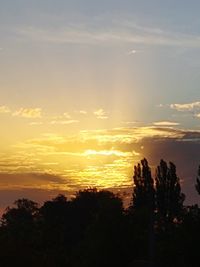 Silhouette trees against dramatic sky during sunset