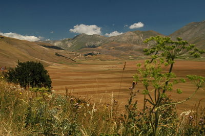 Scenic view of landscape against sky