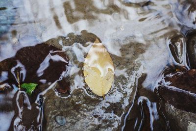 Close-up of water