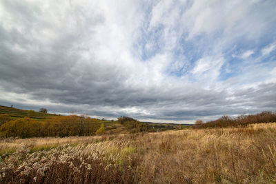 Scenic view of field against sky