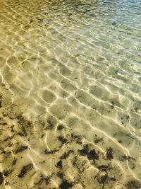 High angle view of beach