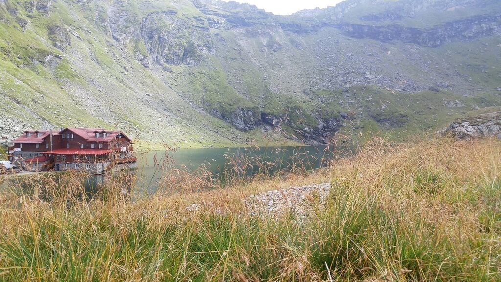 grass, tranquility, tranquil scene, mountain, scenics, landscape, nature, non-urban scene, beauty in nature, mode of transport, growth, outdoors, day, green color, remote, valley, no people, journey