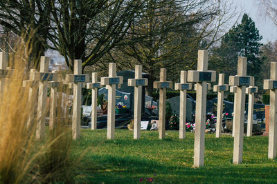 View of cemetery against trees