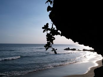 Silhouette of people on beach