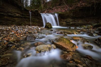 Scenic view of waterfall in forest