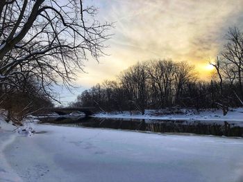 Bare trees on frozen landscape against sky during winter