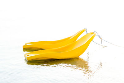 Close-up of yellow fruit on water against white background