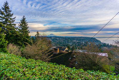 A view of mount rainier with clouds above.