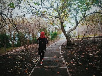 Rear view of man walking in forest